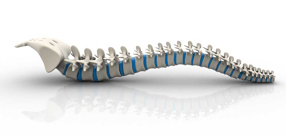 thoracic spine disorders